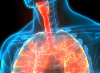 Despite Breakthroughs, Cystic Fibrosis Answers Remain Elusive Insights into Cystic Fibrosis: Causes, Symptoms, & Treatment