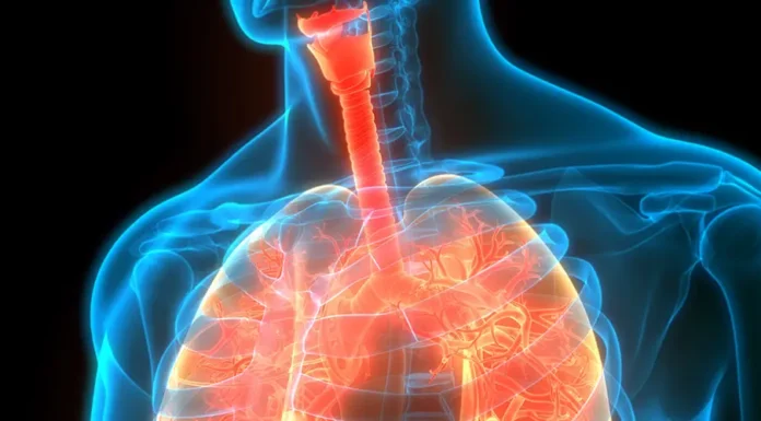 Despite Breakthroughs, Cystic Fibrosis Answers Remain Elusive Insights into Cystic Fibrosis: Causes, Symptoms, & Treatment