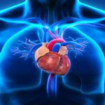 World Heart Day: Reflecting on Preventing Heart Disease World Heart Day: Insights for Preventing Heart Disease