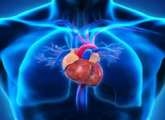 World Heart Day: Reflecting on Preventing Heart Disease World Heart Day: Insights for Preventing Heart Disease