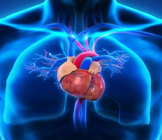 World Heart Day: Reflecting on Preventing Heart Disease World Heart Day: Insights for Preventing Heart Disease