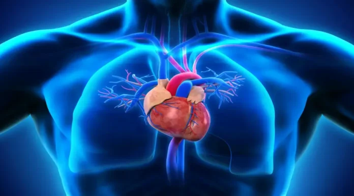 World Heart Day: Reflecting on Preventing Heart Disease World Heart Day: Insights for Preventing Heart Disease