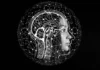 Mental Health Disorders: Diagnosis and Treatment Options Mental Health Disorders: Diagnosis, Types, and Treatment
