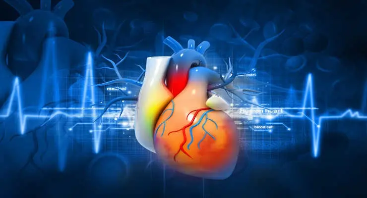Cardiology: Diagnose and Treat Heart Disorders